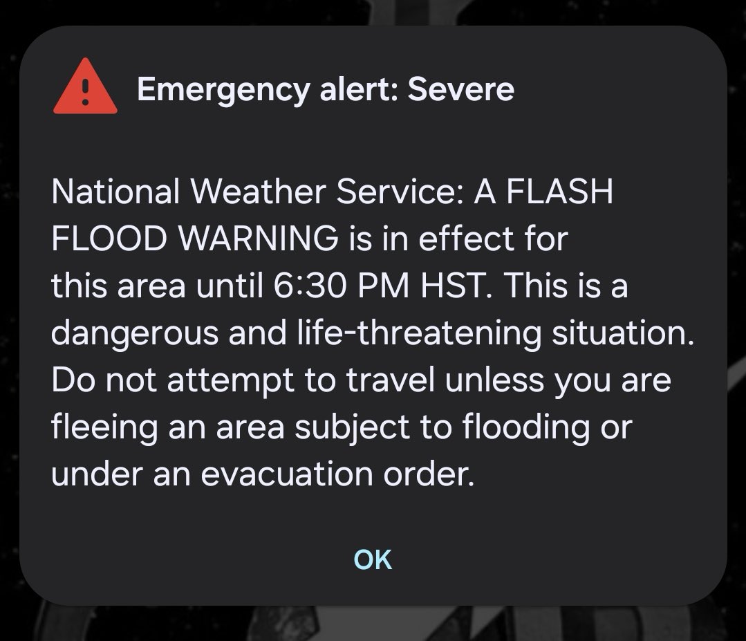 The Real Donald Pump tweet media