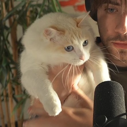 cellpets tweet media