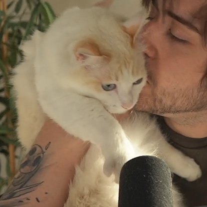 cellpets tweet media