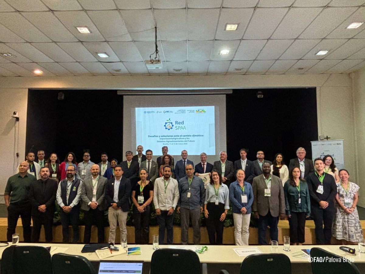 Javier Cernadas tweet media