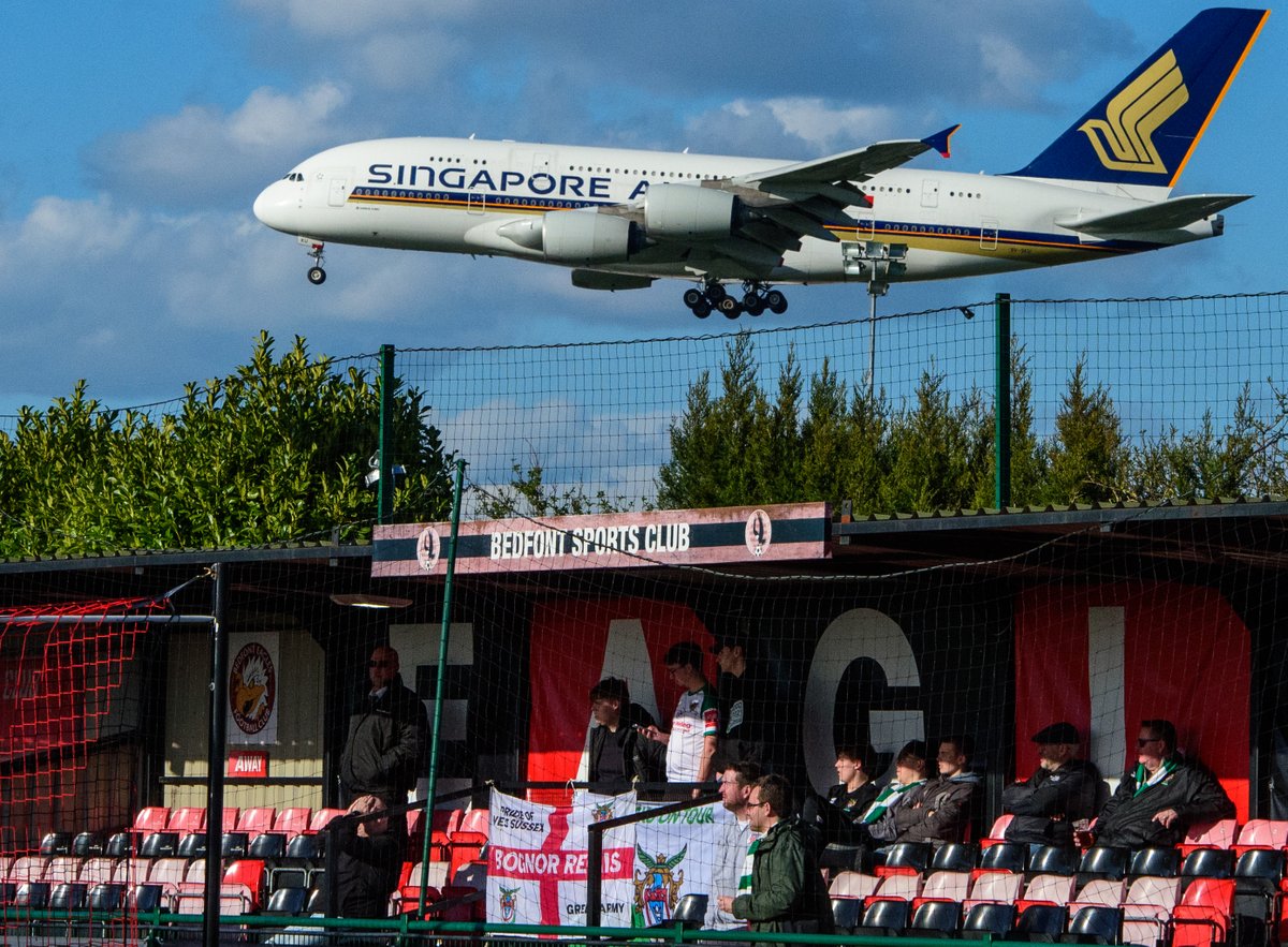 Steve Bone tweet media