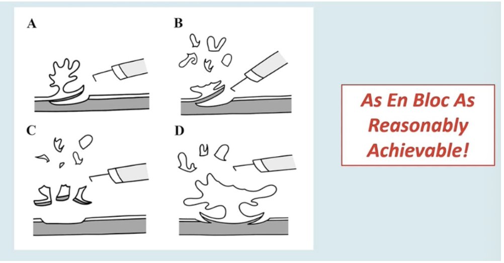 UroToday.com tweet media