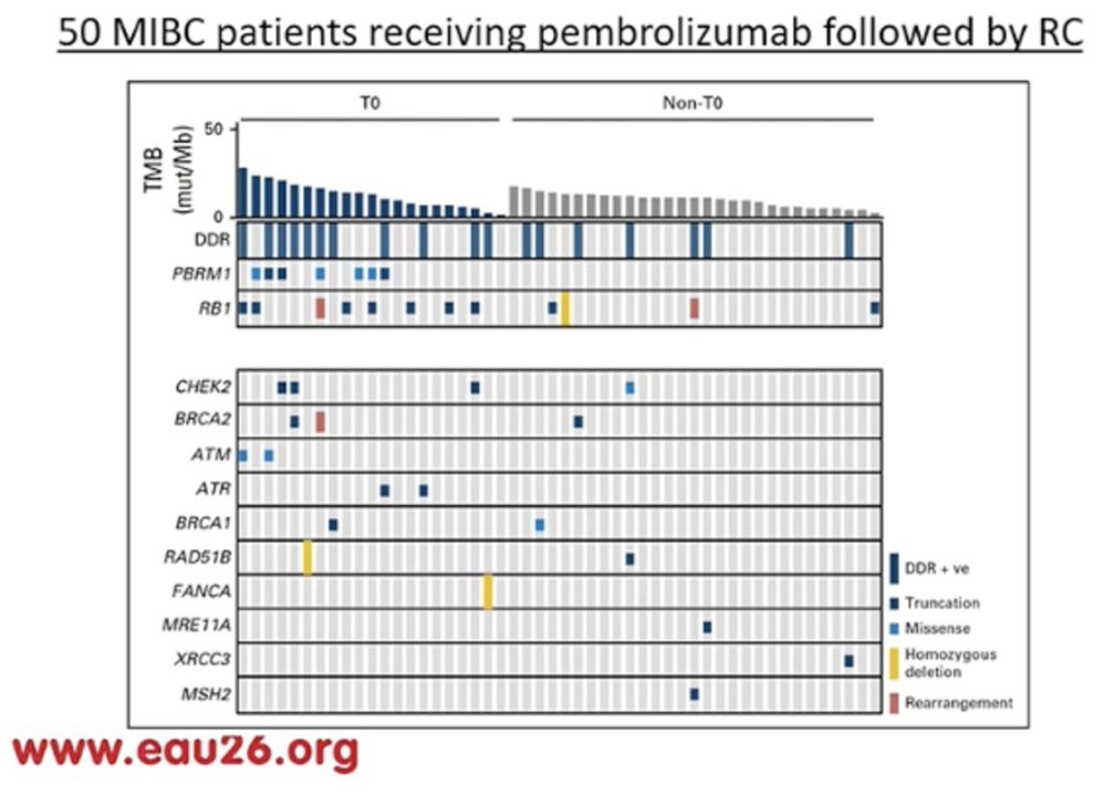 UroToday.com tweet media