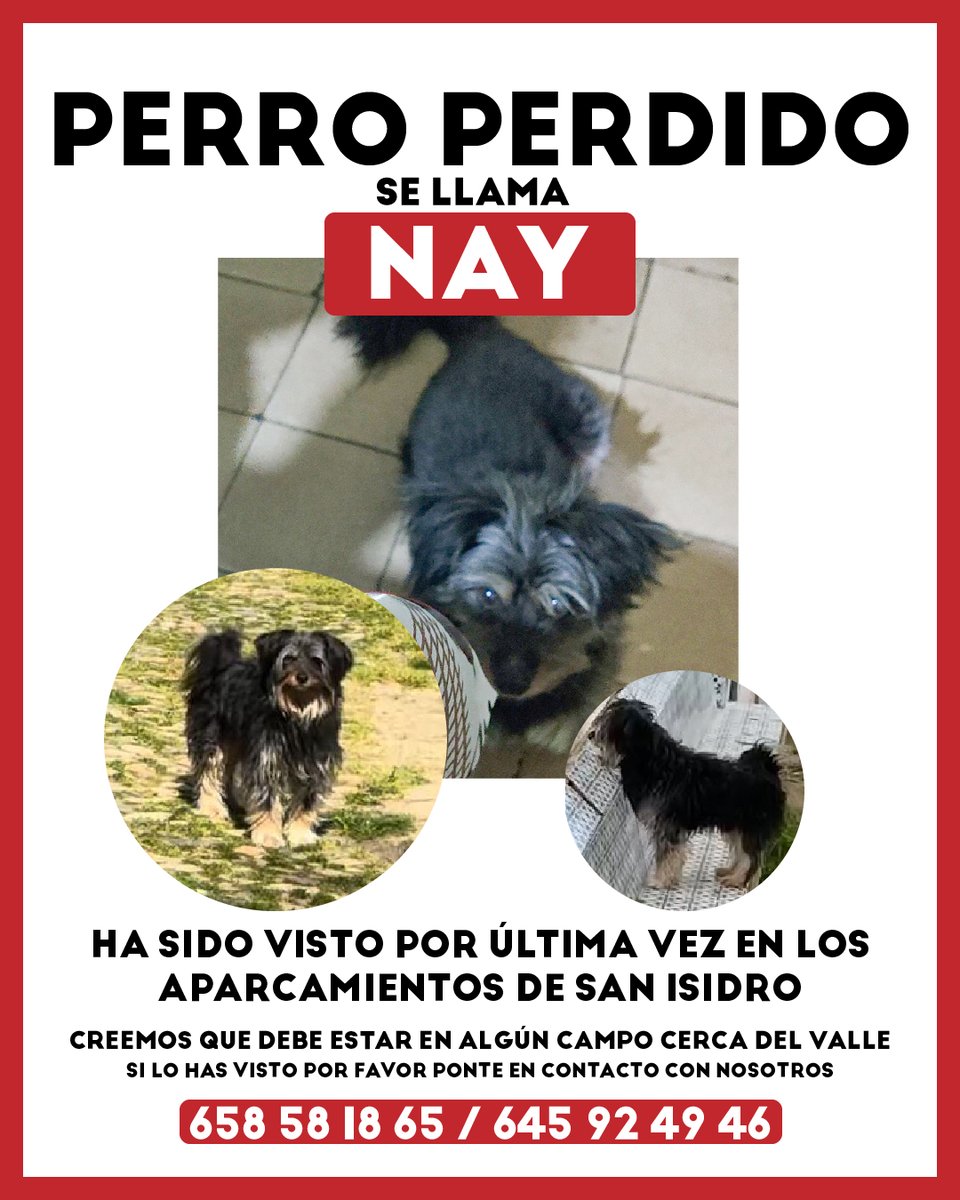 Se que por aquí no me sigue tanta gente de mi zona. Pero cualquier mínima información me vale para seguir buscándole. Me he recorrido los alrededores varias veces durante estos días sin resultado. Si alguien le ha visto, por favor, que nos diga algo.