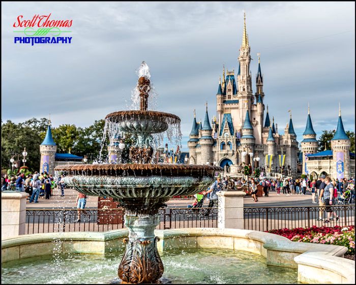 Satchel Price tweet media