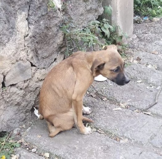 Kristina Bolten tweet media