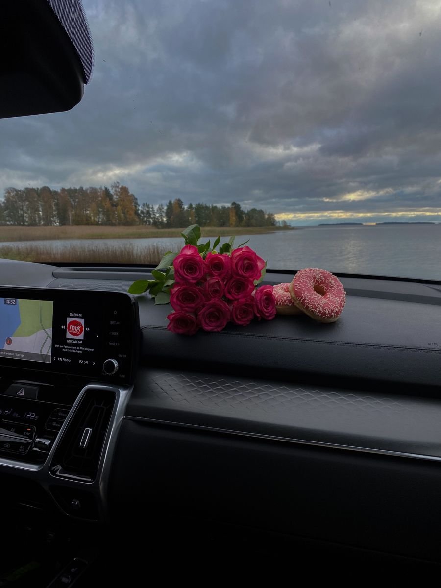 d i s p a t c h 🪩 tweet media