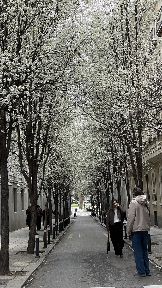 Narcomodela tweet media