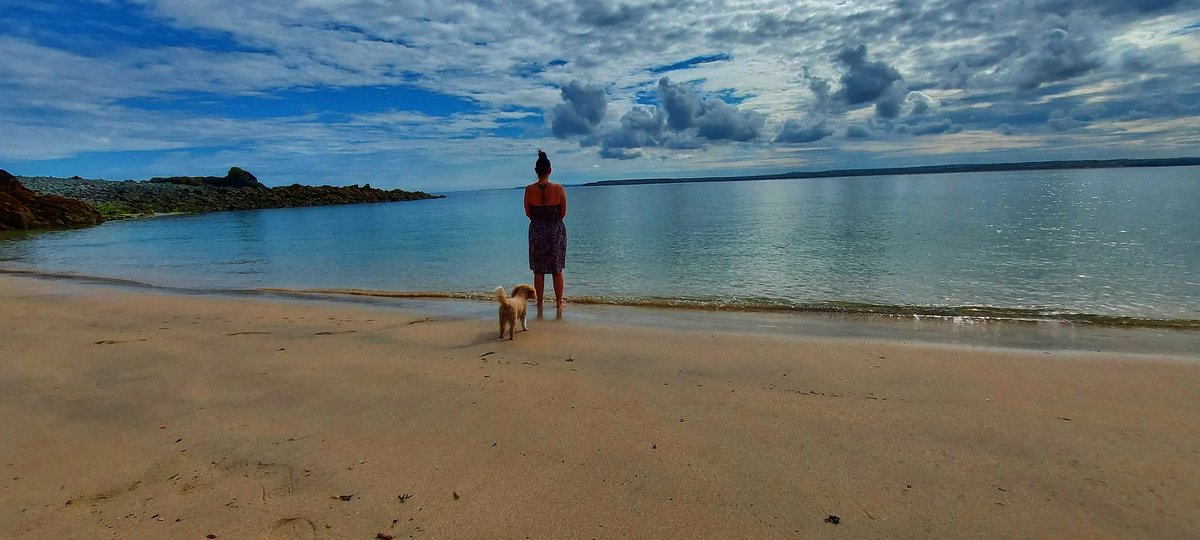 Badgerflaps1🔴⚪⚫ #UTFR #YSB tweet media