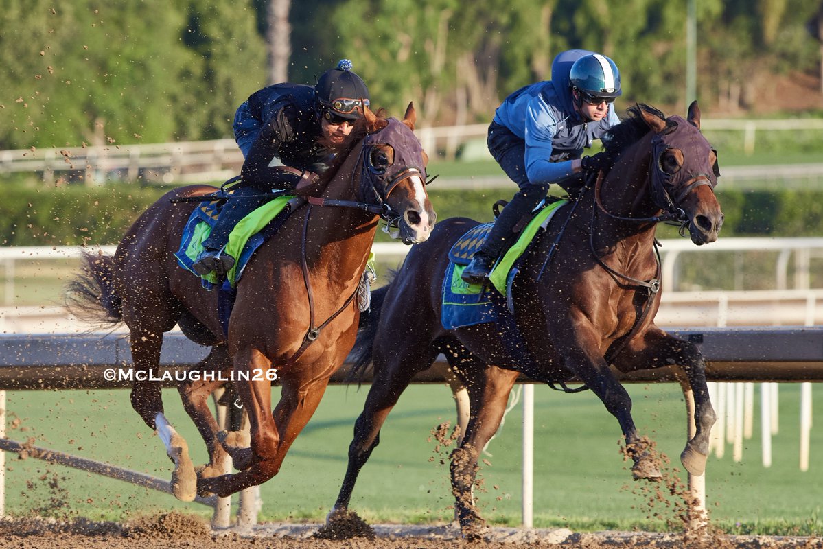 J McLaughlin Safford tweet media