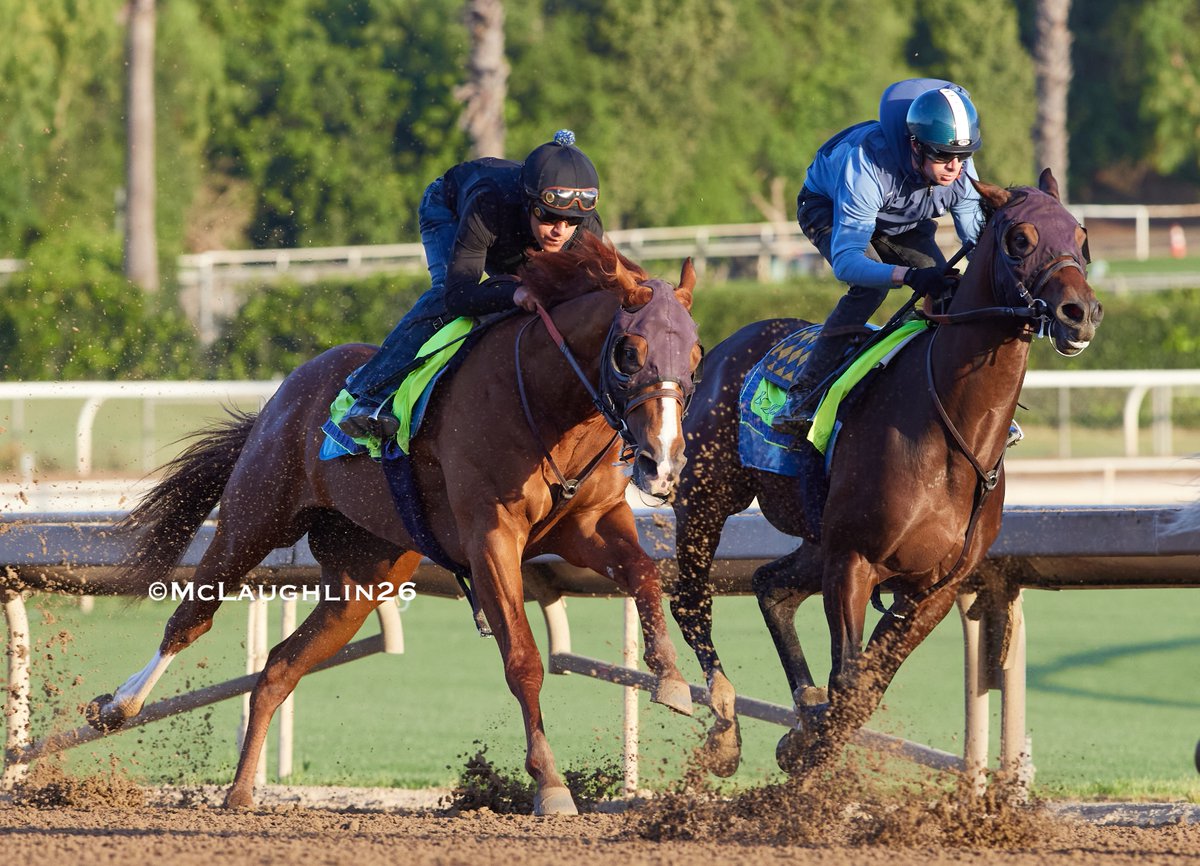 J McLaughlin Safford tweet media