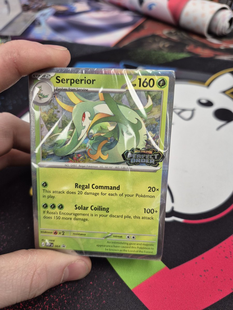 TrevorSimpson. tweet media