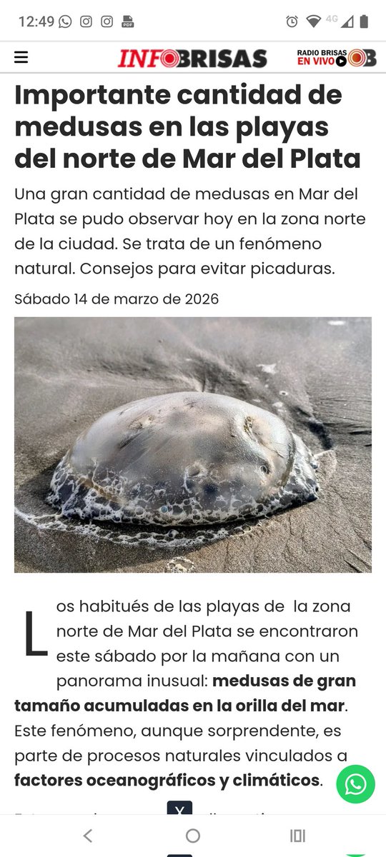 Luz D. 💪💚💜 tweet media