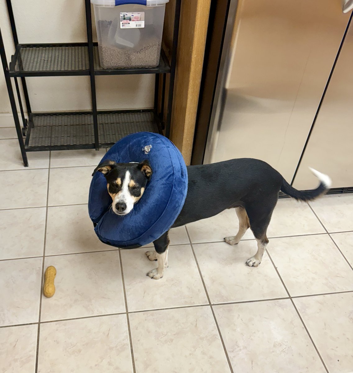 Dave Champion, Ph.D. - aka Dr Reality tweet media