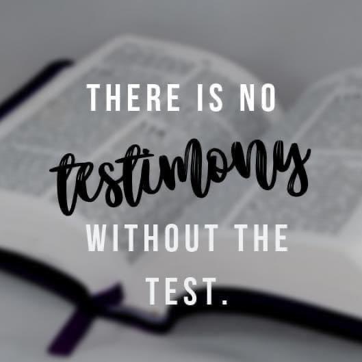 Vicki WarriortoTruth 📖🛡⚔️🇺🇸♥️ tweet media