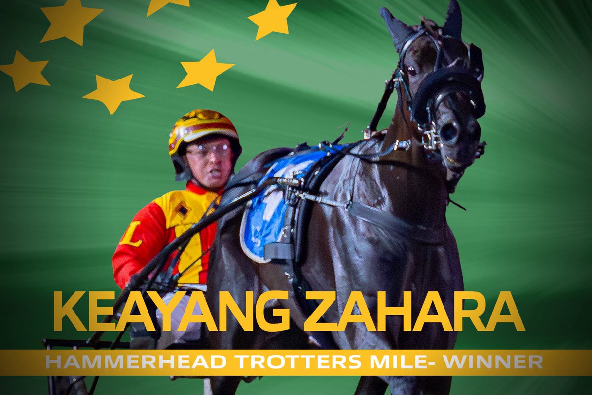 Harness Racing Australia tweet media