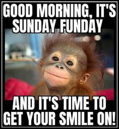 This is a Public Service Announcement

All #writers in the #WritingCommunity are called upon to self-promote on this #ShamelessSelfpromoSunday in today's #writerslift

All participants shall be followed and retweeted

Remember always: We all lift together