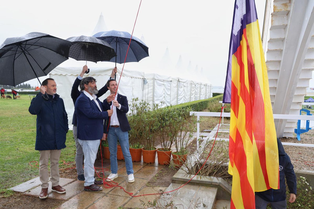 Pedro Bestard Martínez tweet media