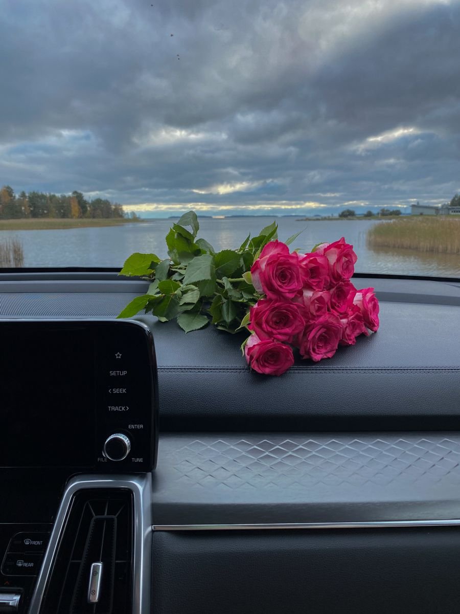 d i s p a t c h 🪩 tweet media