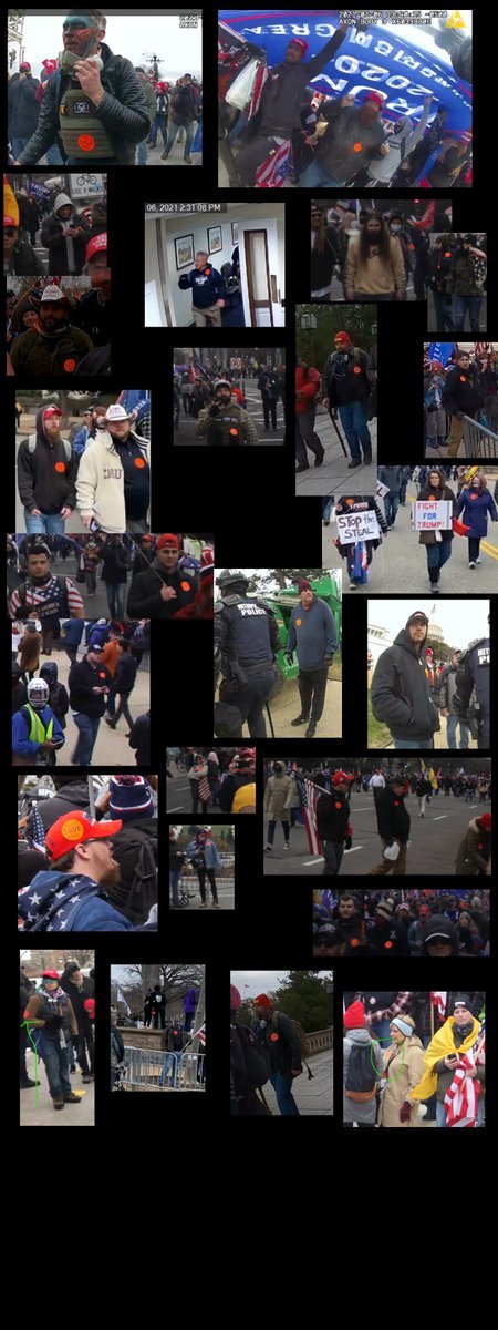 American Summer - Jesse P. tweet media