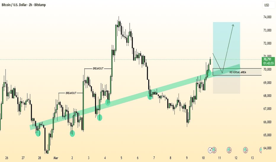 COIN SEDUCERS - 硬币诱惑者 tweet media