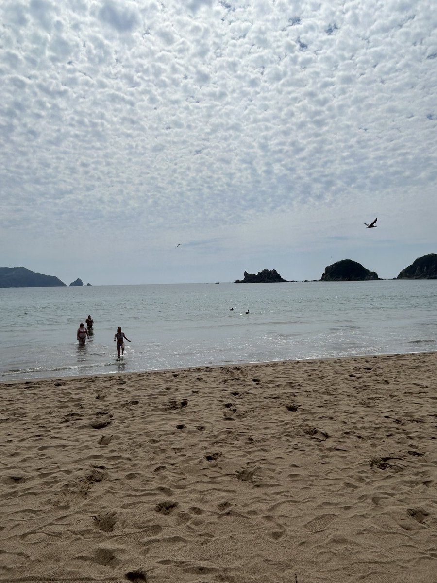 sulk_e's tweet photo. https://t.co/H9X6TTSEZP