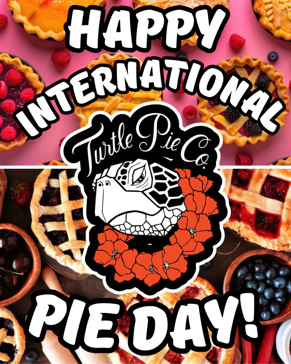 TurtlePieCo tweet media