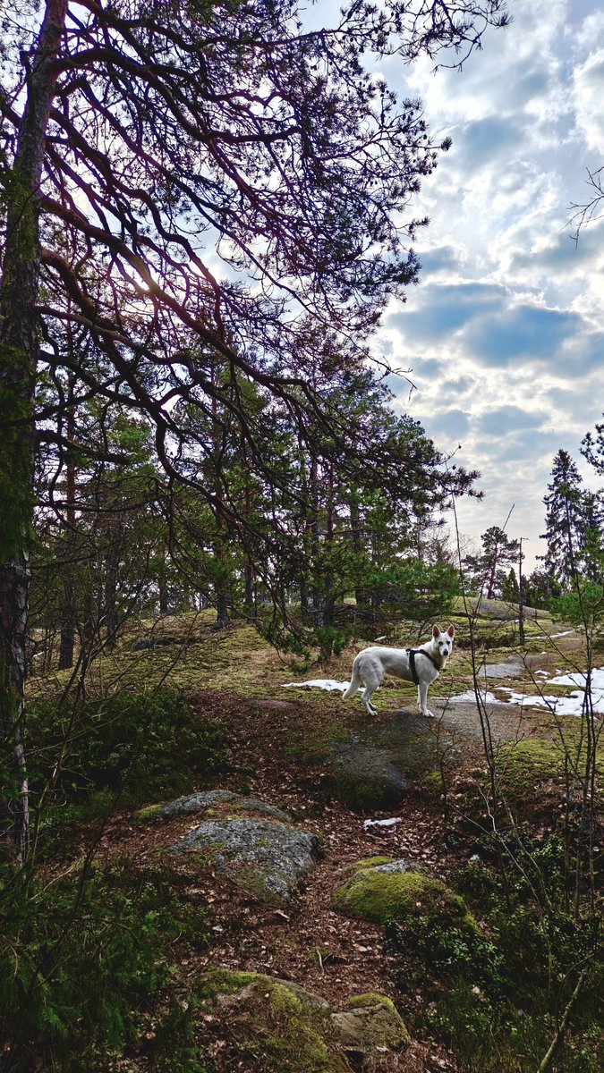 SnookerBlog 🇫🇮🎱 tweet media