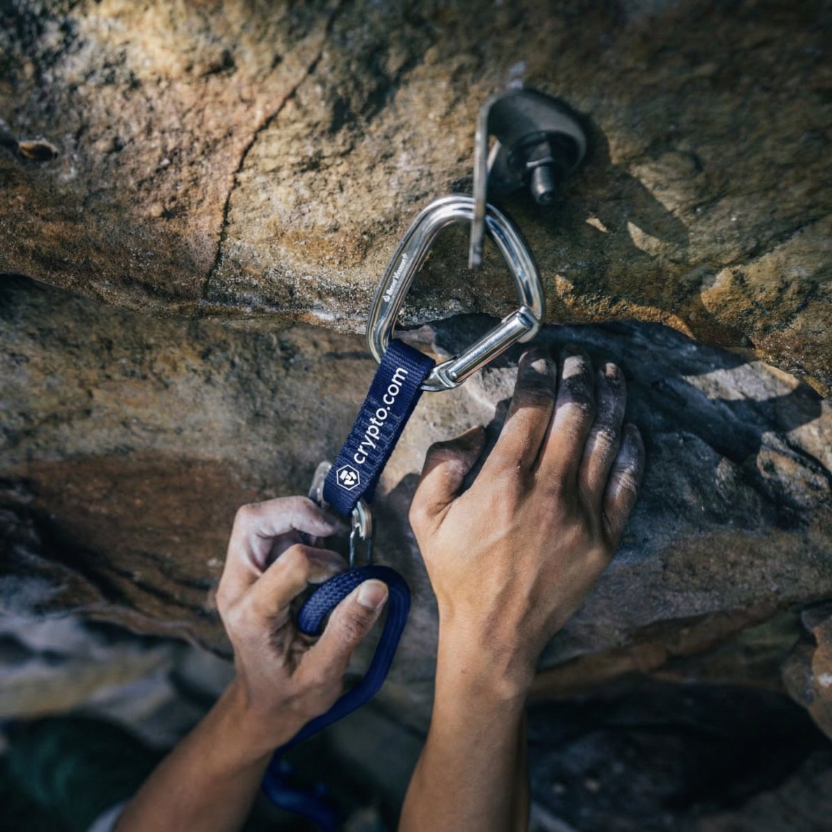 Crypto.com 🇧🇷 tweet media