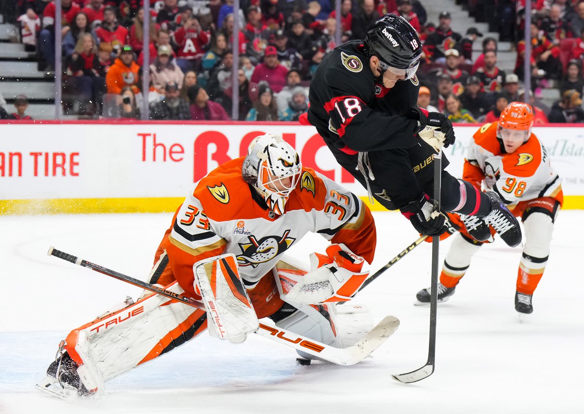 Ottawa Senators tweet media