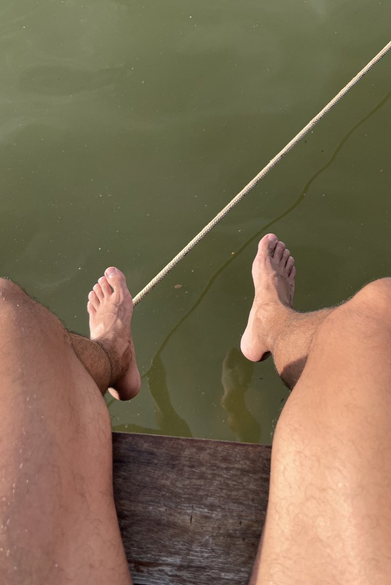 Alpha Matt tweet media