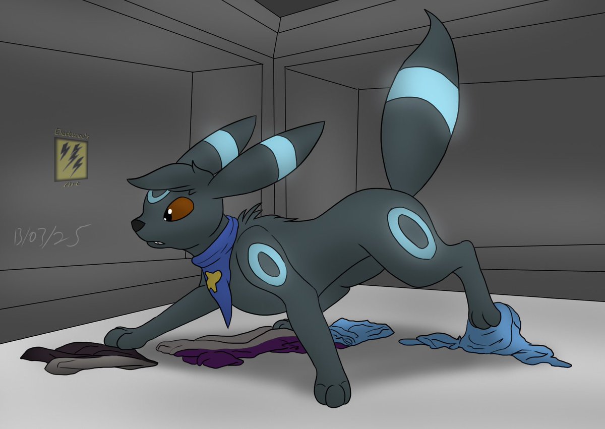 Wayne Dolphin tweet media