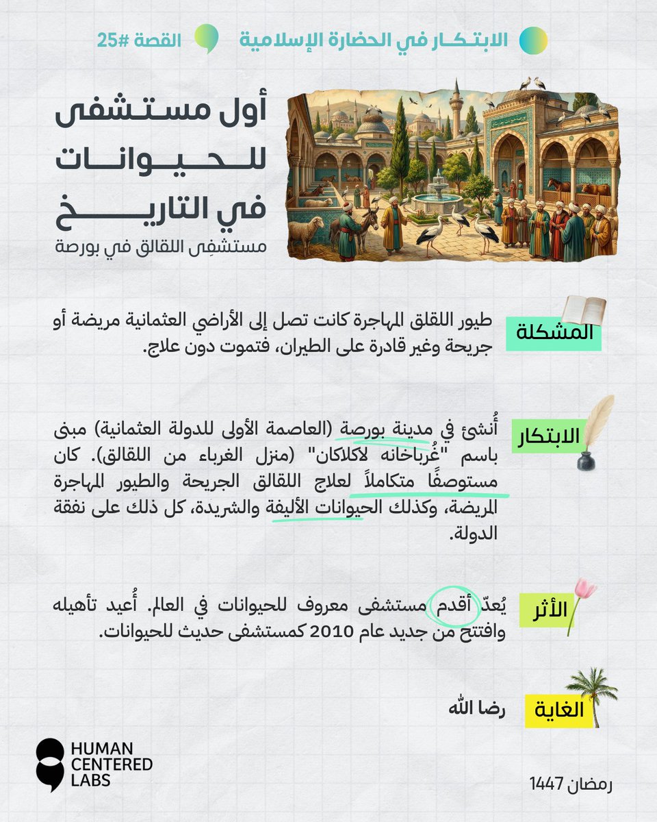 HumanCLabs's tweet photo. مستشفى للطيور المهاجرة في بورصة — على نفقة الدولة. وقف لإطعام الكلاب الضالة في دمشق — قبل لندن بقرون.
الحضارة الإسلامية لم تكتفِ بالرحمة كمشاعر. حوّلتها إلى أنظمة.
#الابتكار_في_الحضارة_الإسلامية #رمضان https://t.co/8Uu7im7bfe