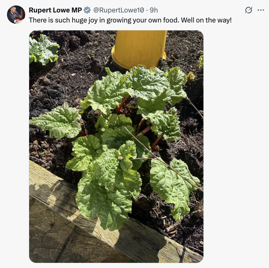 Arthur MacWaters tweet media