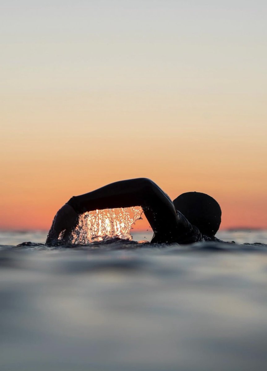 Hans V⭕️S tweet media