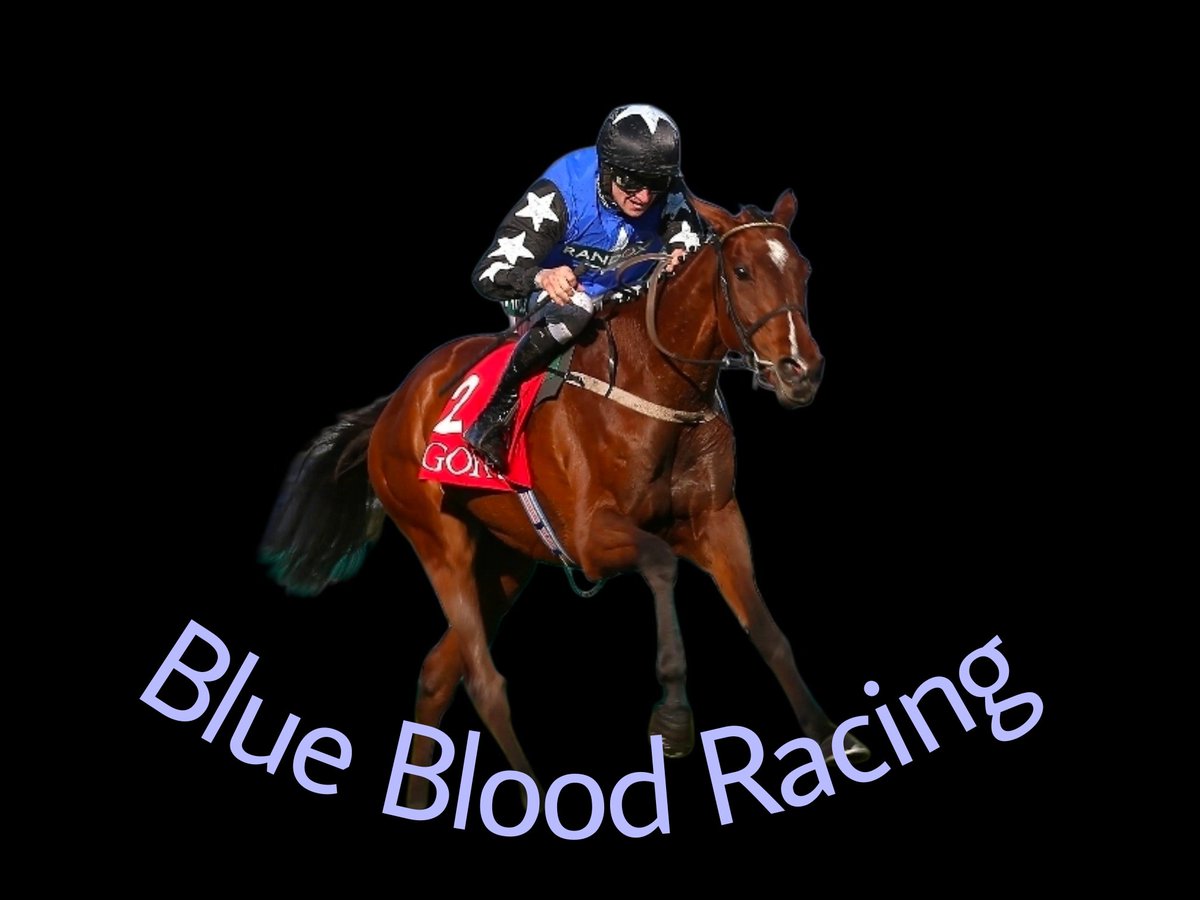 Blue Blood Racing tweet media