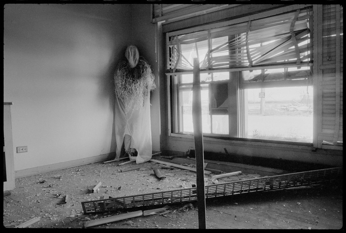 Cʜʀɪs Sᴛᴇɪɴ tweet media