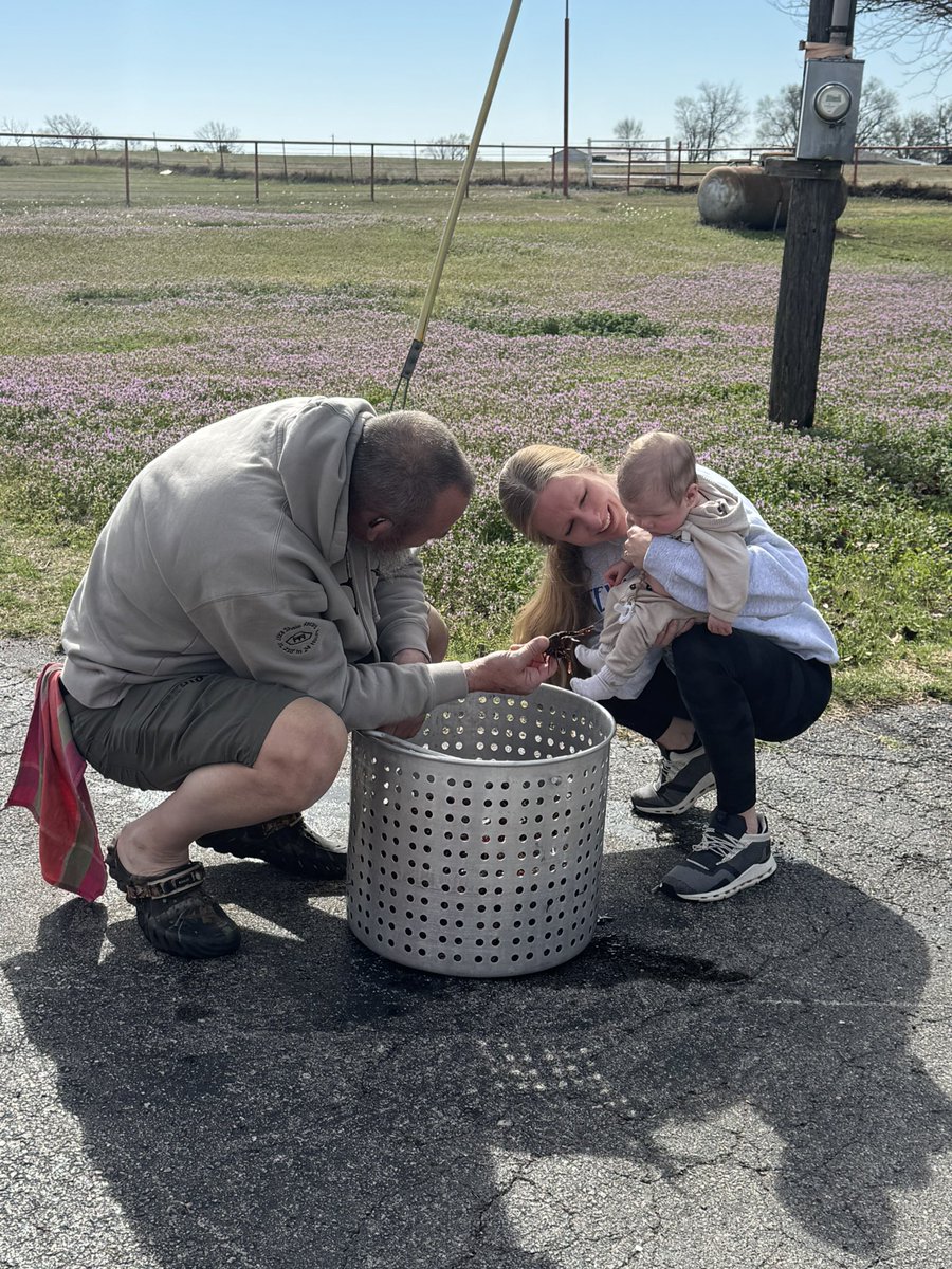 John White tweet media