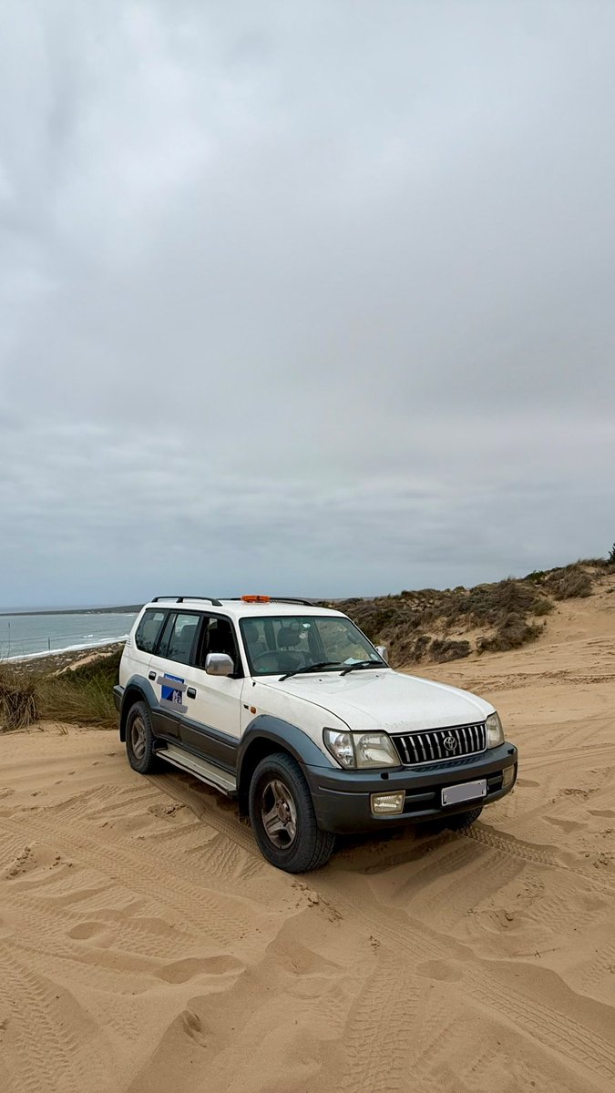 Grob_Plays's tweet photo. First time off-roading on sand (or at all really), had a hell of a time and formed a strong bond with my car. This thing is a beast! https://t.co/dWedezRT43
