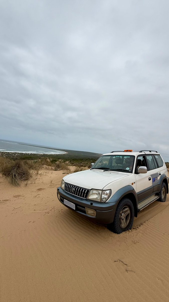 Grob_Plays's tweet photo. First time off-roading on sand (or at all really), had a hell of a time and formed a strong bond with my car. This thing is a beast! https://t.co/dWedezRT43