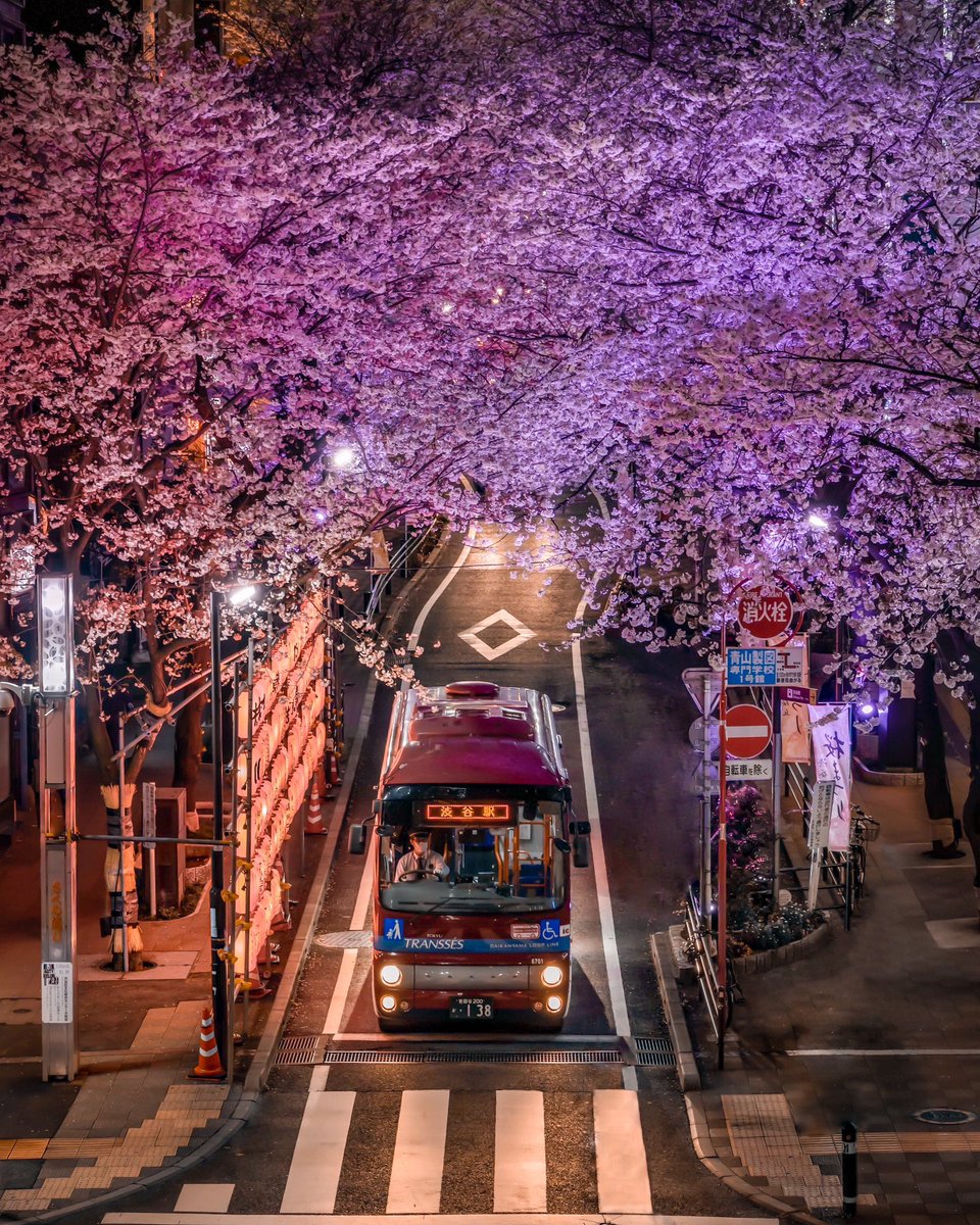japanvistamedia's tweet image. Tokyo, Japan.