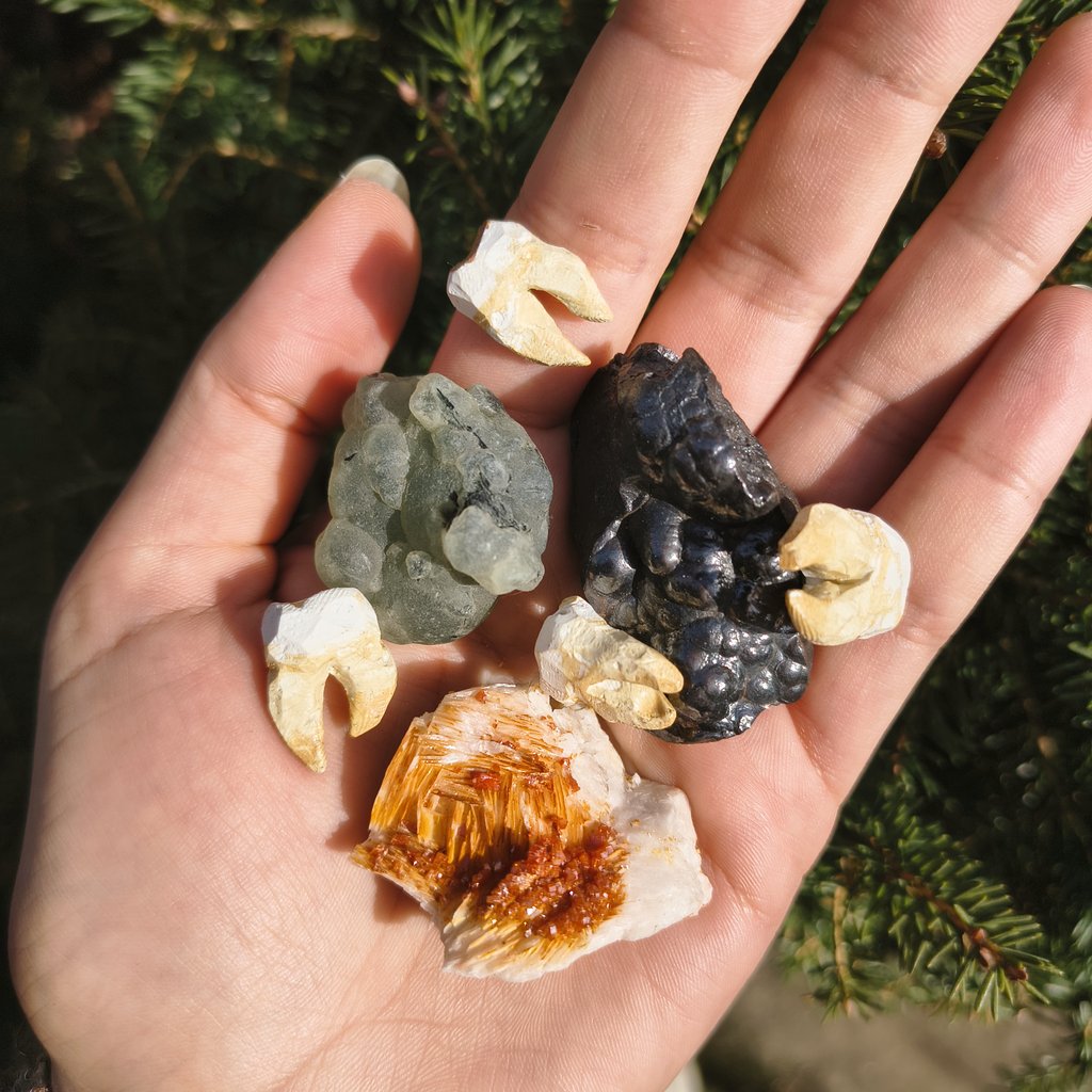 Miel🐕 tweet media