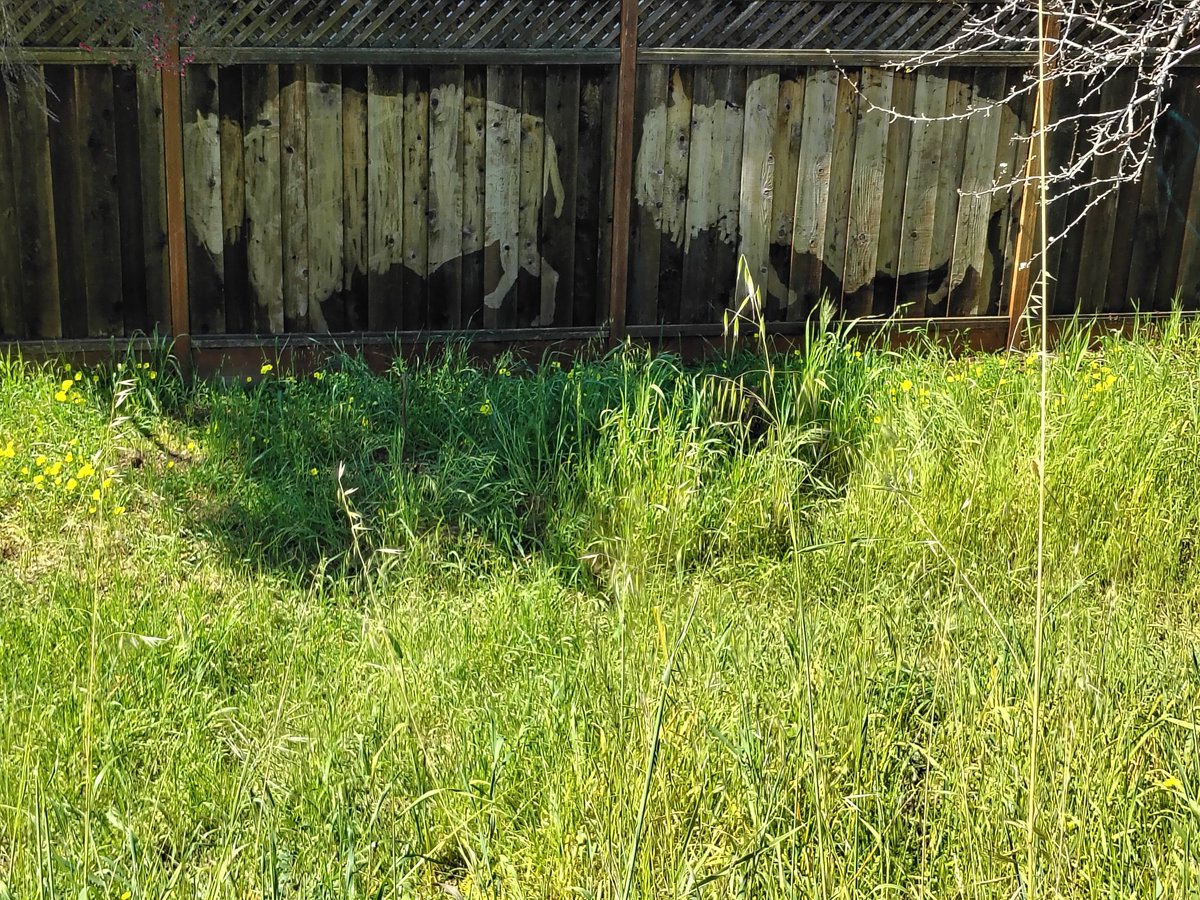 planetweaver's tweet image. 2/
"mitosis mitosis mitosis my dear, 
Our cells still dividing 
&amp;amp; that much is clear,
Deep ecology of family 
From deep wishing wells 
As we tune to the song 
 in the heart of the cells. 

...deep ecology of family
is rooted in you 
go deeper go deeper 
&amp;amp; therein  
#AimTrue🏹