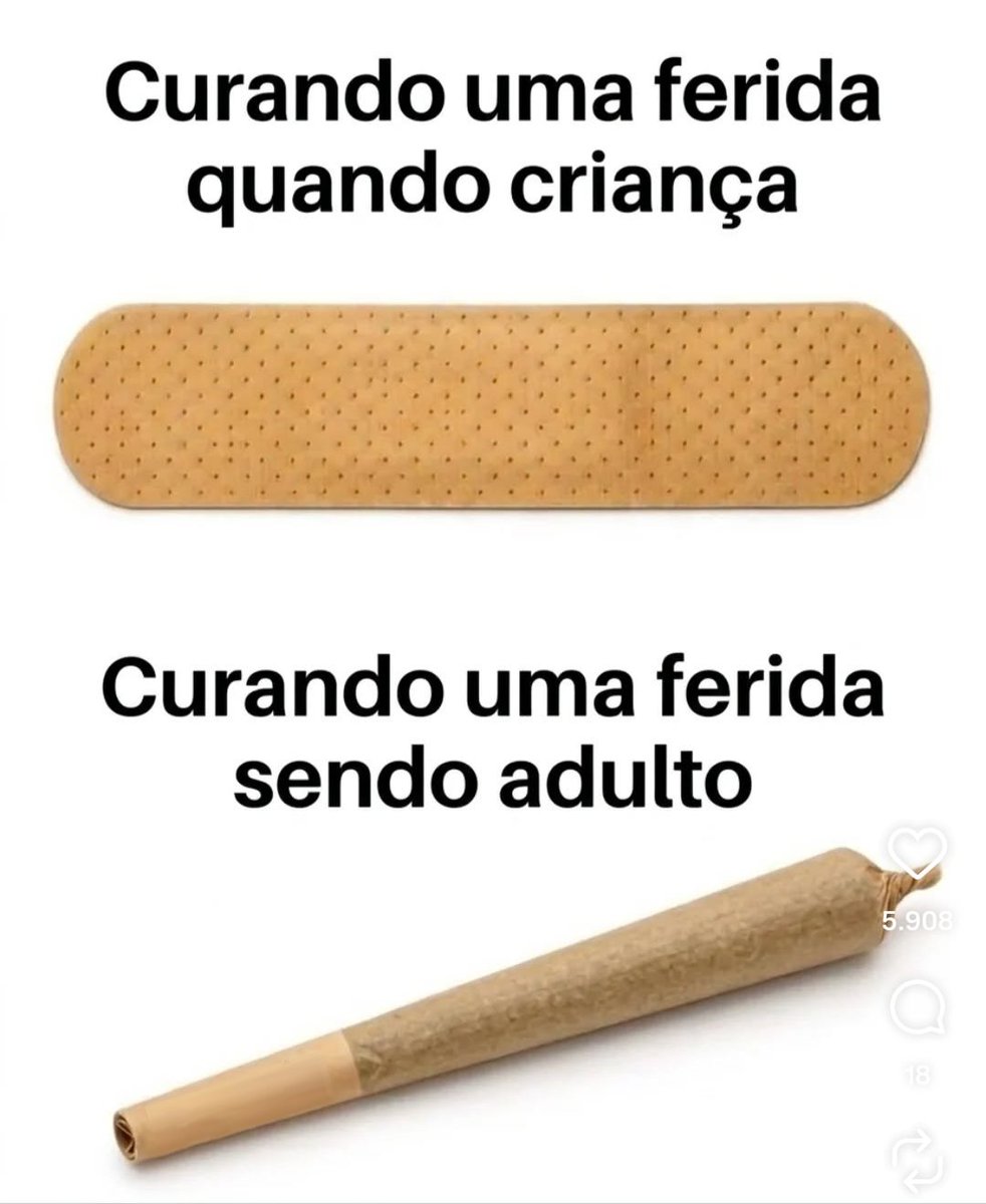 Brisadão tweet media