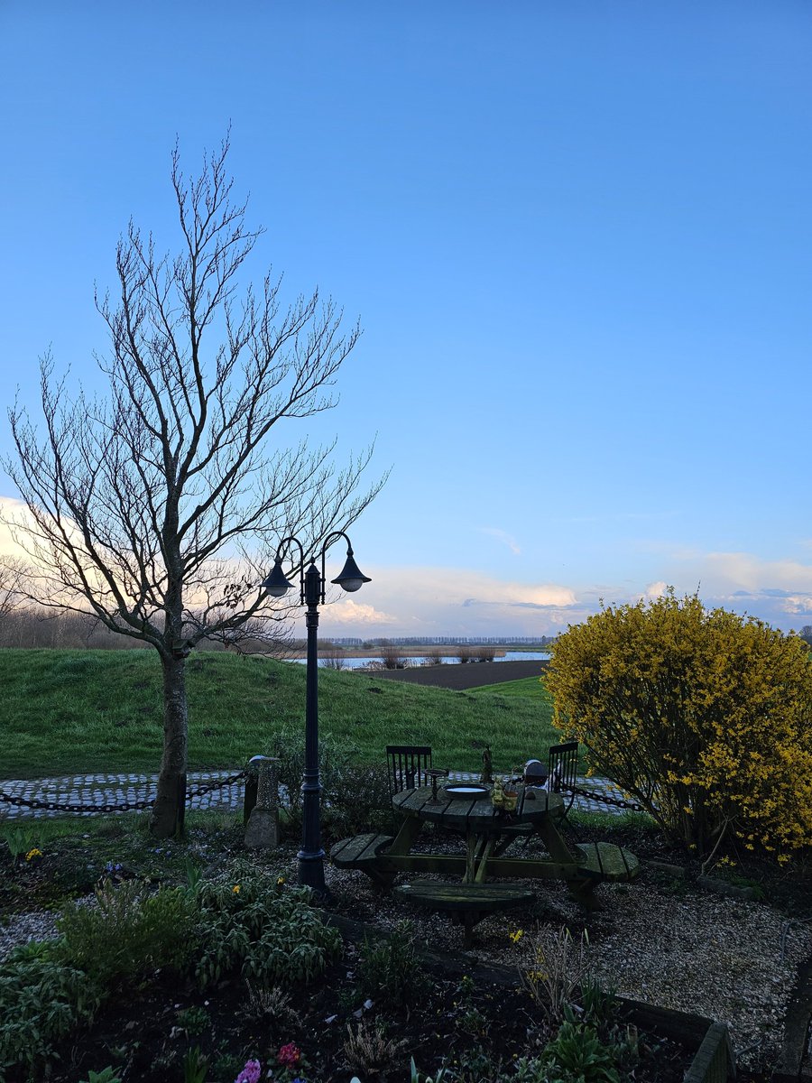 P3T3R 🦋 tweet media