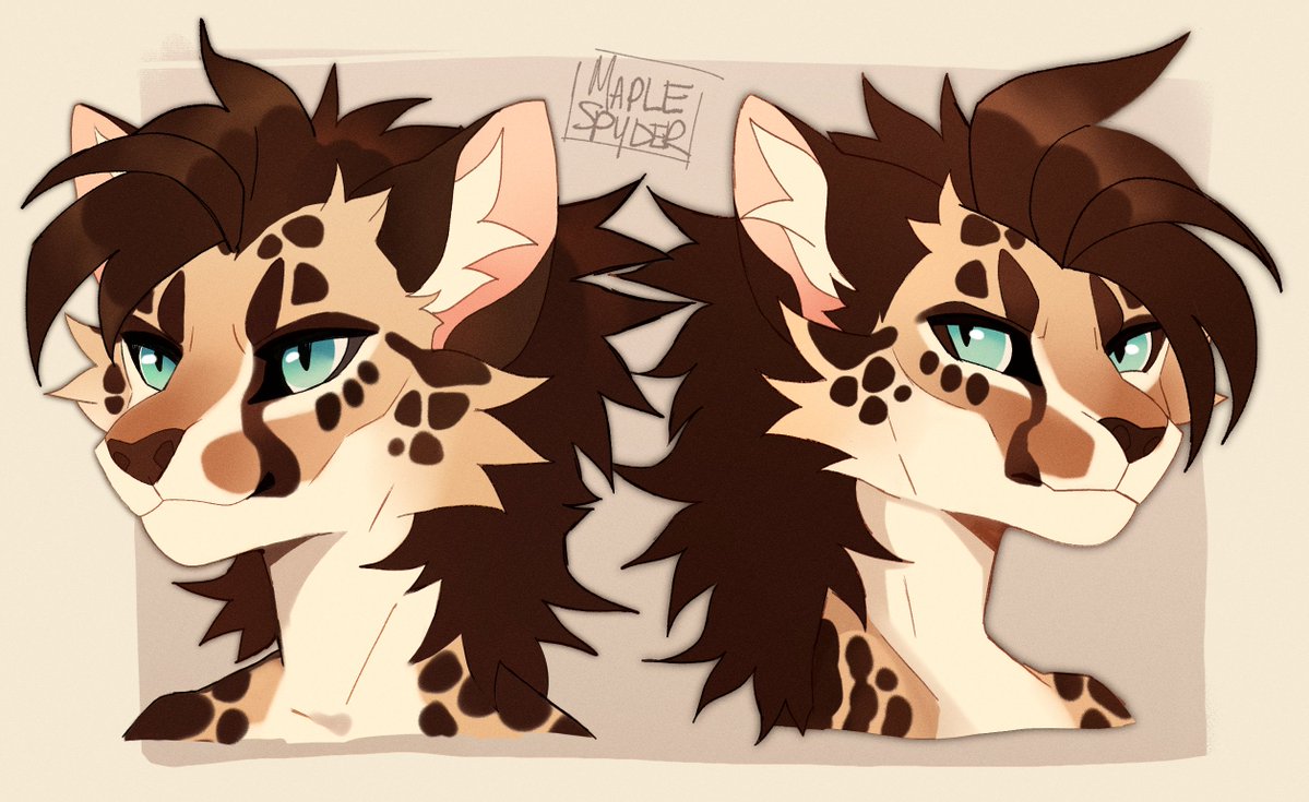 maple / jackal tweet media