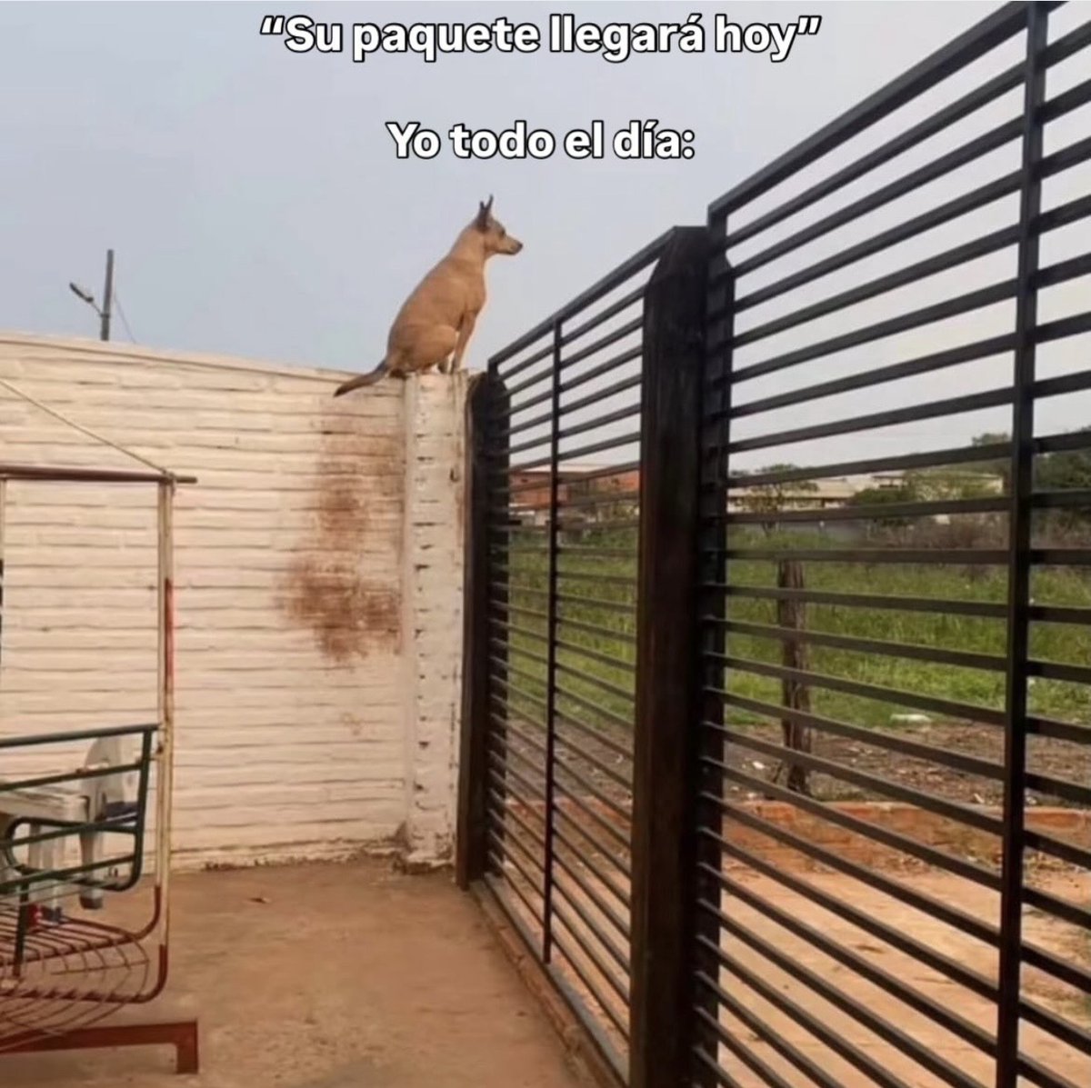 Guarromantico_'s tweet photo. Literal. https://t.co/qJeOyLJTAG