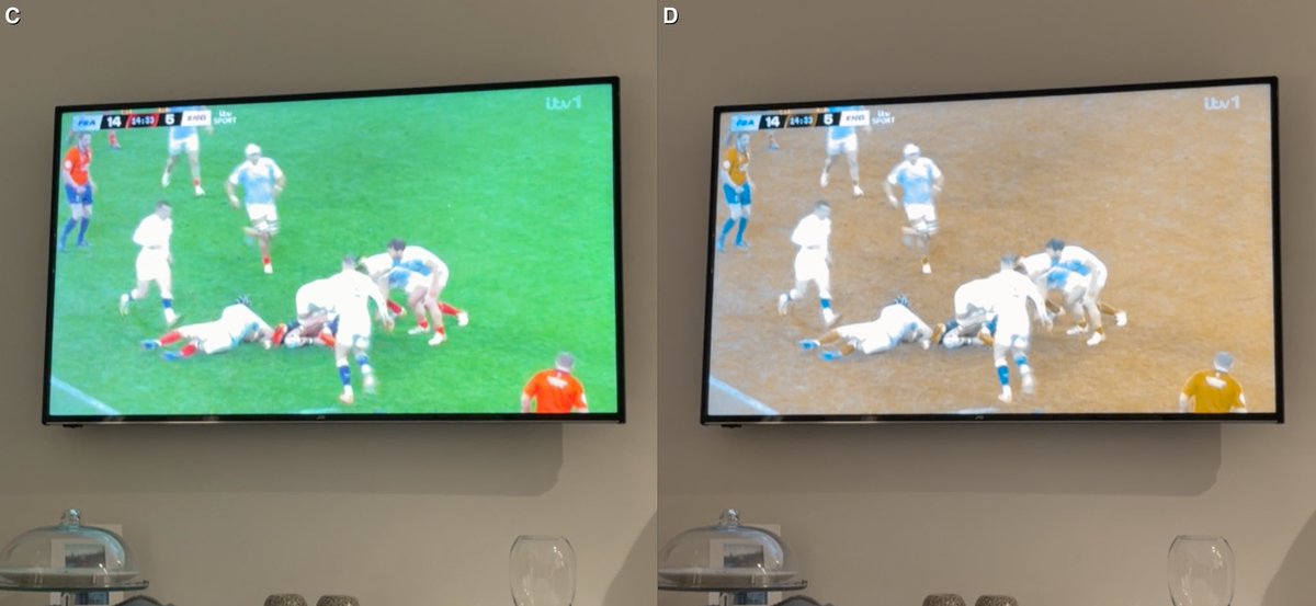 Marie Difolco tweet media