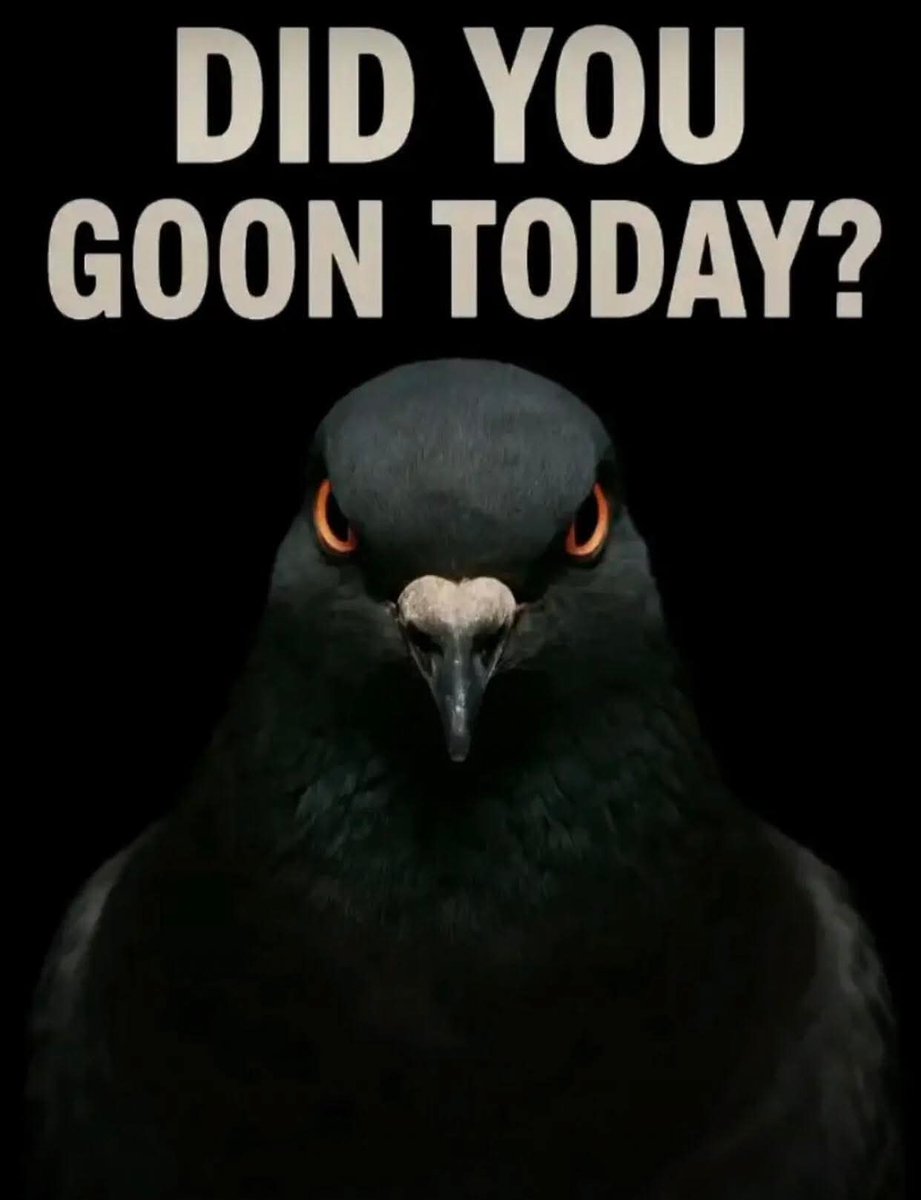 A。 E。 tweet media