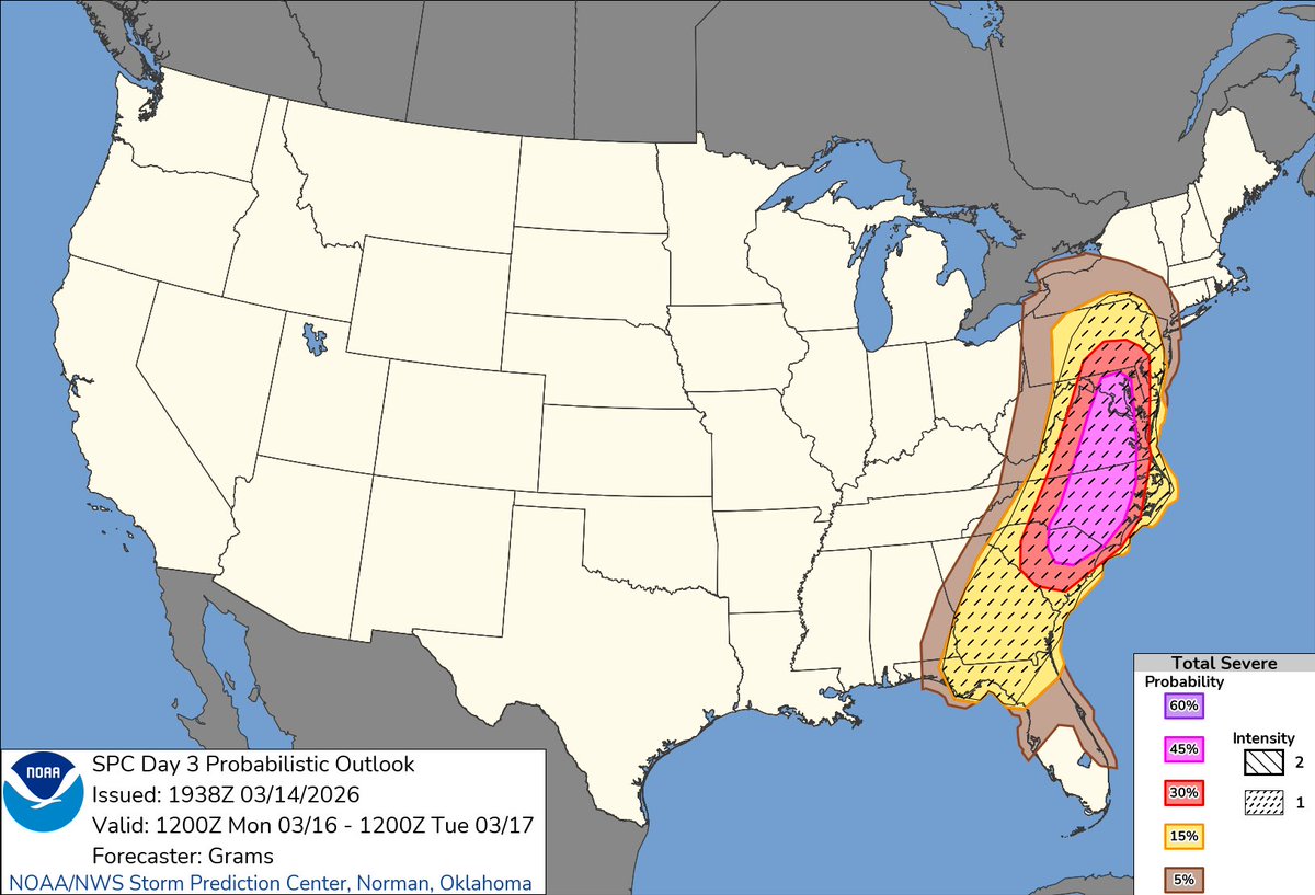charlotte tweet media